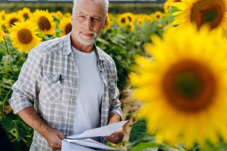 Modern farmer works in a field, holding documents in his hands. Makes important research, evaluates the harvest.の写真素材