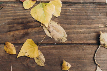 Autumn leaves over wooden board background with copy space. Cropped image of the a lot of yellow leafs at the brown wooden boardの写真素材