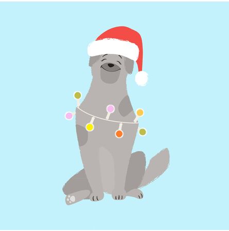 A nice dog in a Santa Claus hat.のイラスト素材