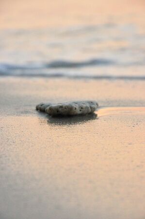 White sand and stoneの写真素材