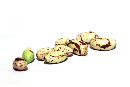 Beans in cluster, red and green, on a white background
