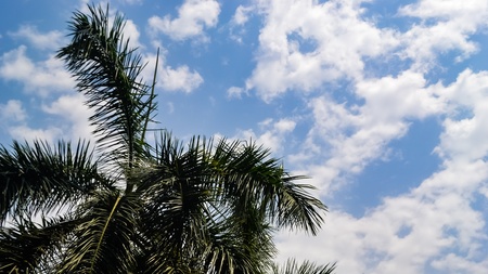 a sky high veiw.の写真素材