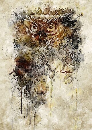 Owl Vintage Illustratorの写真素材