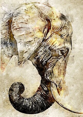 Elephant Vintage Watercolor Artの写真素材