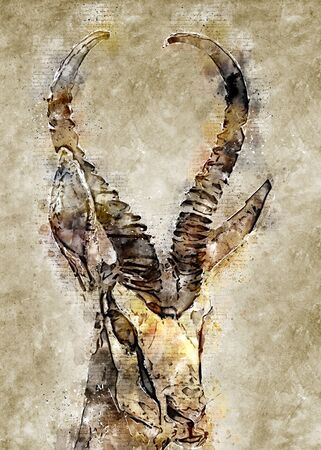 Gaqzelle Vintage Print Wall Artの写真素材