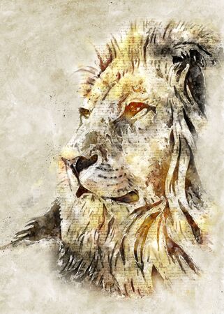 Lion Head Vintage Artの写真素材