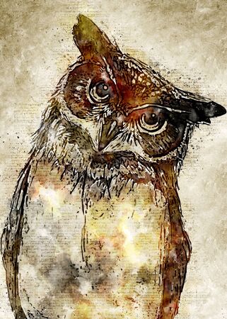 Owl Vintage Illustratorの写真素材