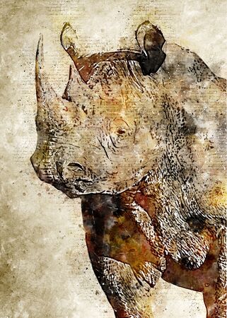 Rhino Head Vintage Watercolor Artの写真素材