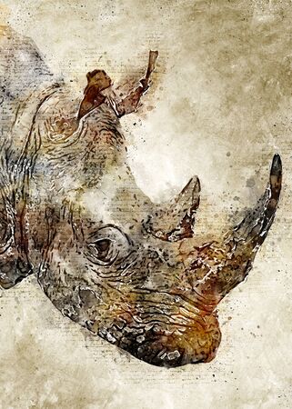 Rhino Head Vintage Watercolor Artの写真素材
