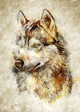 Wolf Head Vintage Wall Artの写真素材