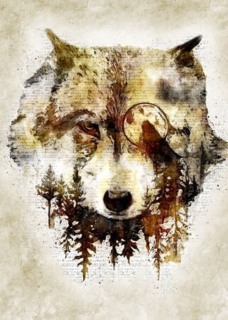 Wolf Head Vintage Wall Artの写真素材