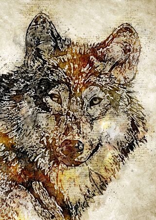 Wolf Head Vintage Wall Artの写真素材