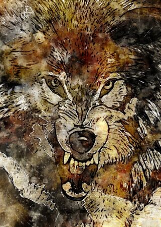 Wolf Head Vintage Wall Artの写真素材