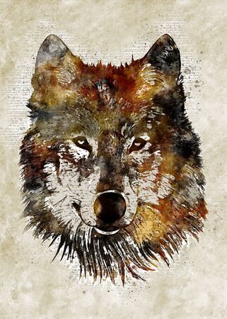 Wolf Head Vintage Wall Artの写真素材