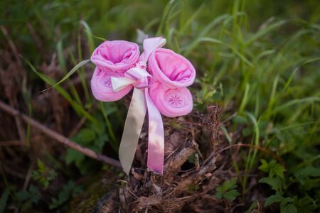 Pink booties for newborn girlの写真素材