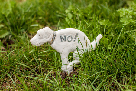 Dog statue prohibiting dogs on the lawnの写真素材