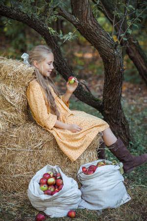 Beautiful smiling girl in yellow dress look at red apple and set on haystack, calm rural autumn sceneの写真素材