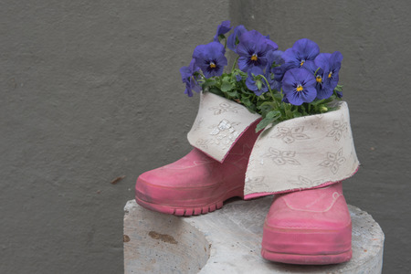 Flowers in pink boots.の写真素材