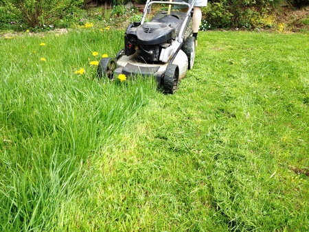 Working with lawn mowerの素材