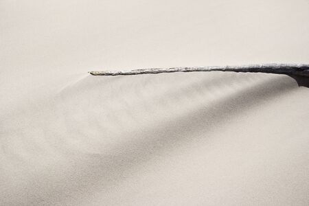 driftwood on the beach, elevators weatherの写真素材