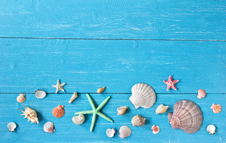 shells and starfishes on blue wooden backgroundの写真素材