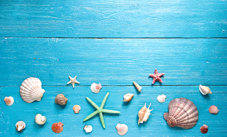 shells and starfishes on blue wooden backgroundの写真素材