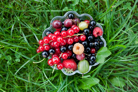 fresh organic fruit in a glass bowl on green grassの写真素材