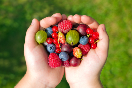 Fresh, ripe friuts in the palm of a child.の写真素材