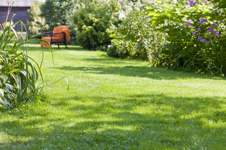 beautiful garden, full of green flowers and an armchair in the backgroundの写真素材