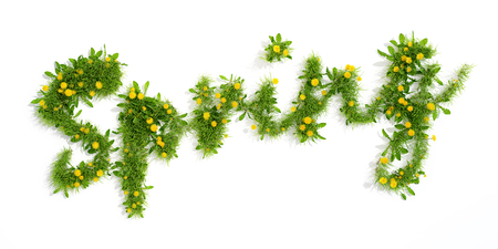 word spring made od grass and flowers, 3D render