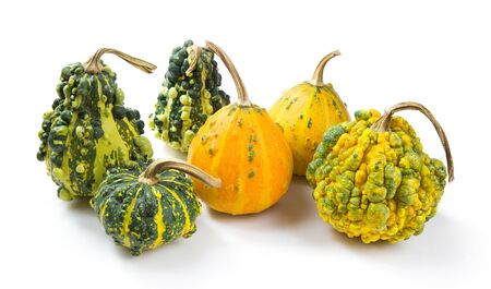Decorative pumpkins collection isolated on white background.の写真素材