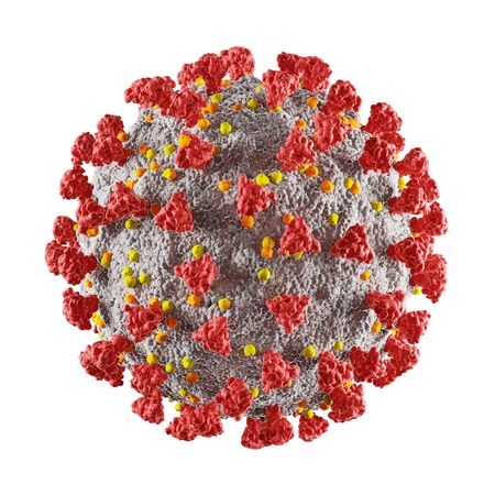 coronavirus isolated on white background, 3D render illustrationの写真素材