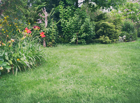 Beautiful backyard garden landscape full of trees and flowers. Green lawn background in the centre....