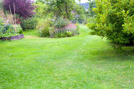 Beautiful domestic garden or backyard landscape. Big lawn, flowers, fruit trees and a place for vegetables to grow. Watering hose on the grass.の写真素材