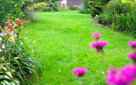 Beautiful, green backyard lawn for background. Flowers in front of the fresh, green lawn.の写真素材