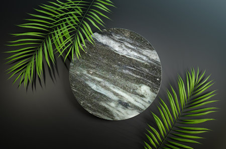 Circle marble podium with palm leaves on the dark background. Top view of cosmetic product mockup. 3d illustration. 3D render.の写真素材