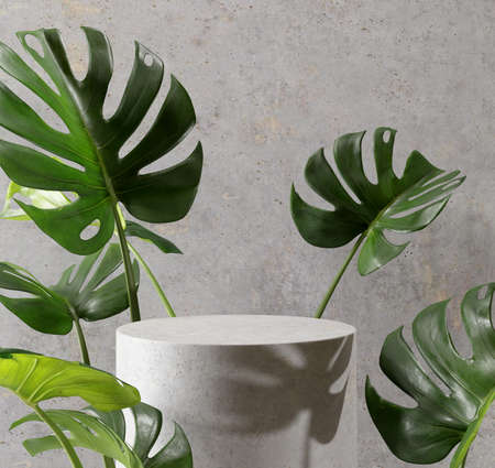 Minimal concrete podium display surrounding with monstera leaves. Abstract background. 3D render. 3D illustration.の写真素材