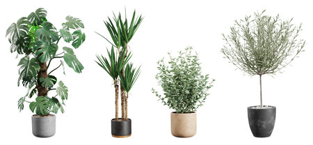 Beautiful plants in ceramic pots isolated on white background. 3D rendering.の写真素材