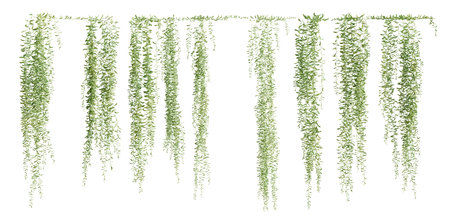 Set of Vernonia Elliptica creeper plant, isolated on white background. 3D rendering.の写真素材