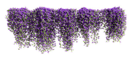 Group of Phlox Paniculata creeper plants, isolated on white background. 3D rendering.の写真素材
