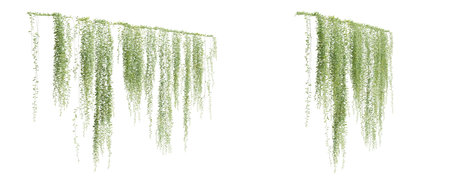 Group of Vernonia Elliptica creeper plant, isolated on white background. 3D rendering.の写真素材