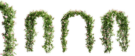 Gate made of climbing roses isolated on white background. 3D rendering.の写真素材
