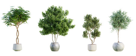 Set of various trees in terracotta pots isolated on white background. 3D rendering.の写真素材