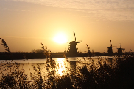 Morning glow and windmillsの写真素材