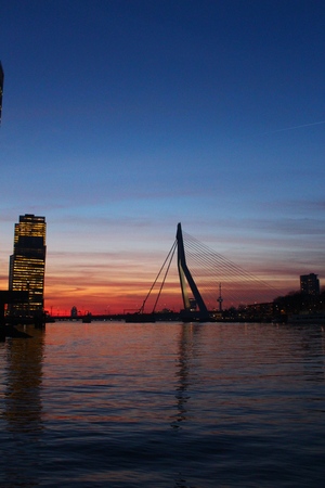 Rotterdamの写真素材