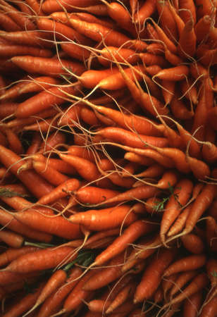 Carrotsの写真素材