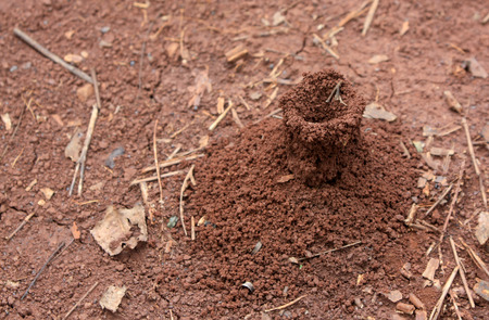 volcanoの写真素材