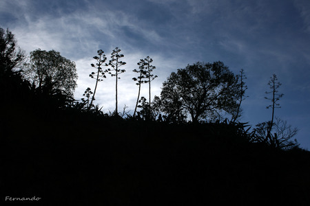 danceの写真素材