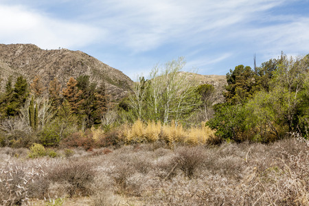 field sunsetの写真素材