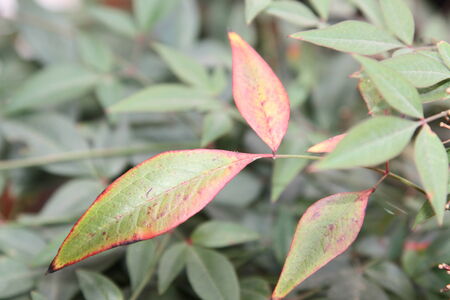 quietの写真素材